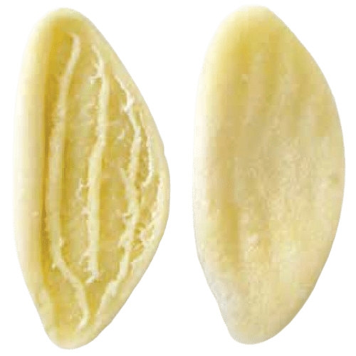 strascinate