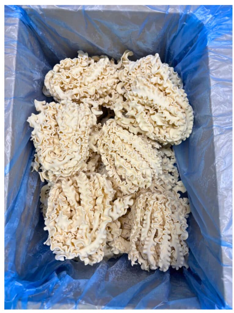 Open box of Vede Pasta’s curly-edge mafaldine, frozen fresh and ready for service
